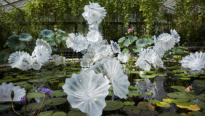 Dale Chihuly: Glass in Bloom @ Gardens by the Bay