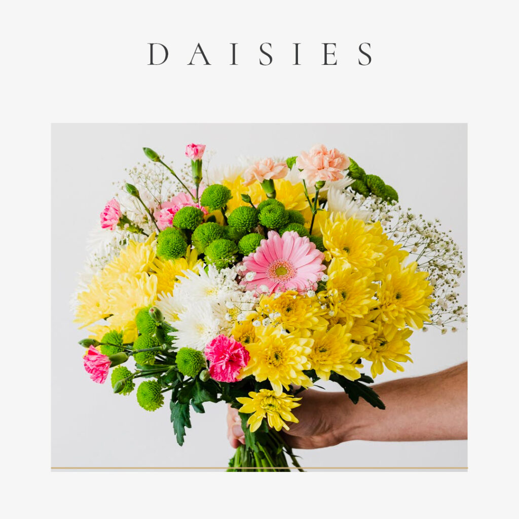 The-Best-Flowers-for-Valentines-Day-Daisies