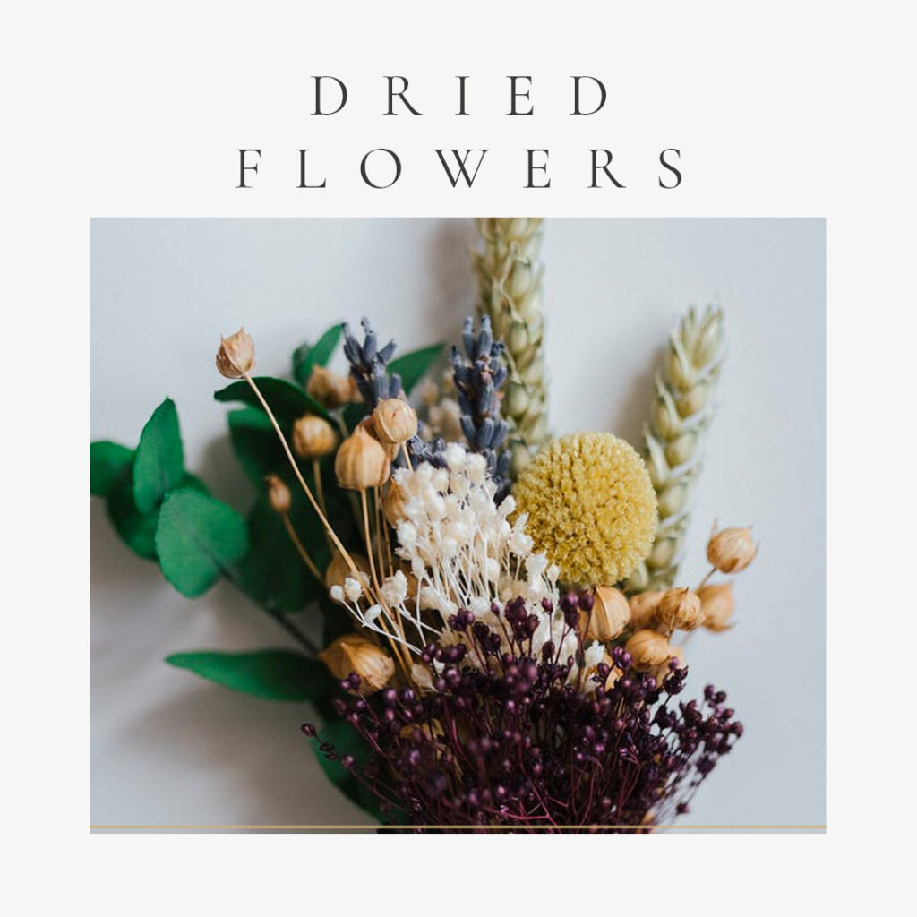 The Best Flowers for Valentine�s Day-Dried Flowers