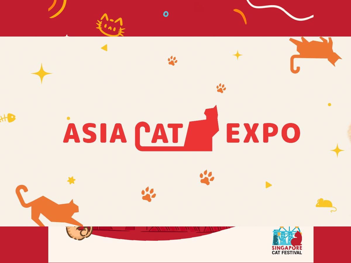 asia-cat-expo-2023-cat-themed-booths-cosplay-competitions