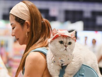 Asia Cat Expo 2025