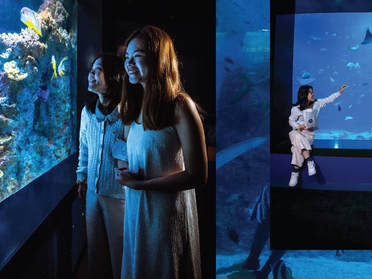 Singapore Oceanarium RWS